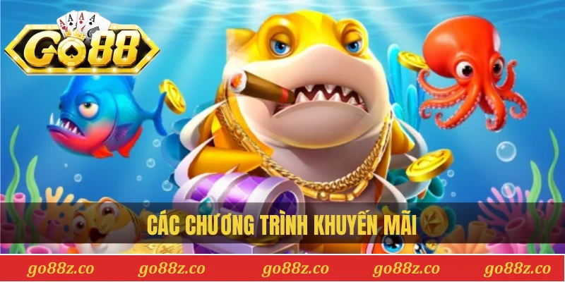 Các chương trình khuyến mãi