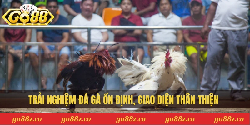 Trải nghiệm đá gà ổn định, giao diện thân thiện 